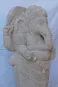 morepic-4
